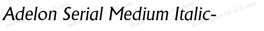 Adelon Serial Medium Italic字体转换